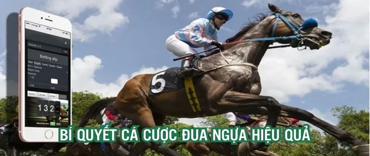Tìm Hiểu Cá Cược Đua Ngựa VL88: Hành Trình Kịch Tính