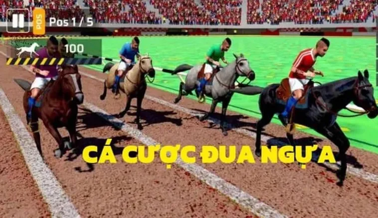 Tìm Hiểu Đua Ngựa ABC8: Bí Quyết Thắng Lớn